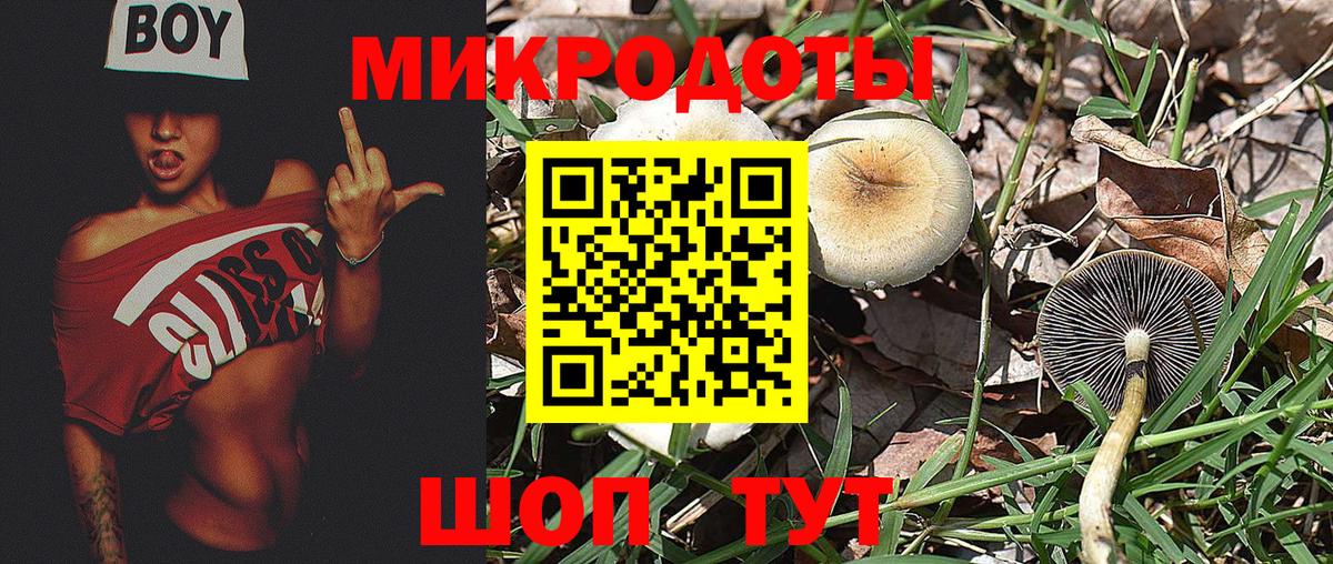 Псилоцибиновые грибы MAGIC MUSHROOMS Протвино