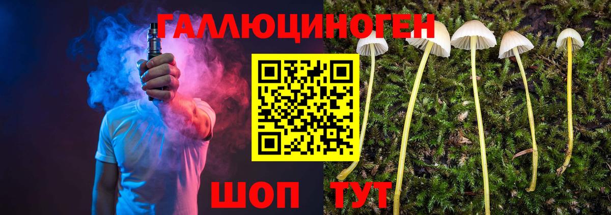 Протвино  Псилоцибиновые грибы мухоморы  Вход с VPN 